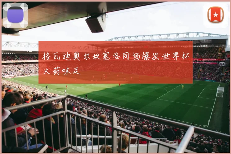 格瓦迪奥尔坎塞洛同场爆发世界杯火药味足