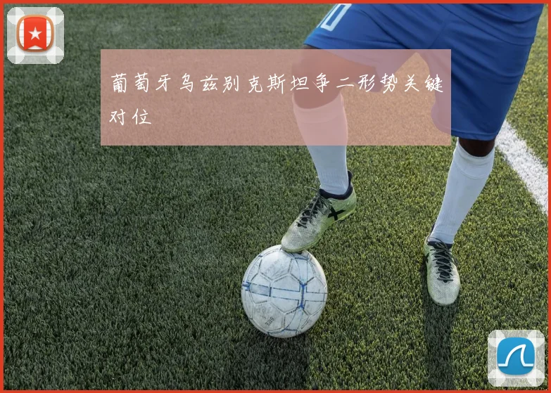 葡萄牙乌兹别克斯坦争二形势关键对位