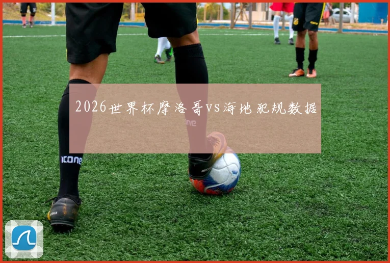 2026世界杯摩洛哥vs海地犯规数据