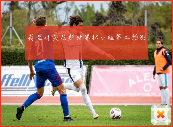 荷兰对突尼斯世界杯小组第二预测