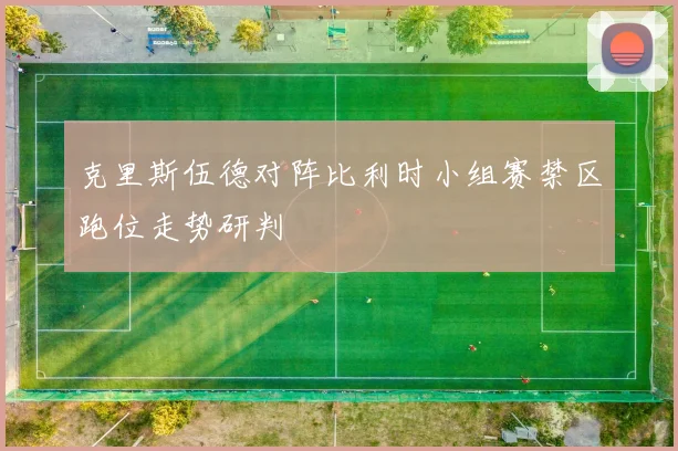 克里斯伍德对阵比利时小组赛禁区跑位走势研判