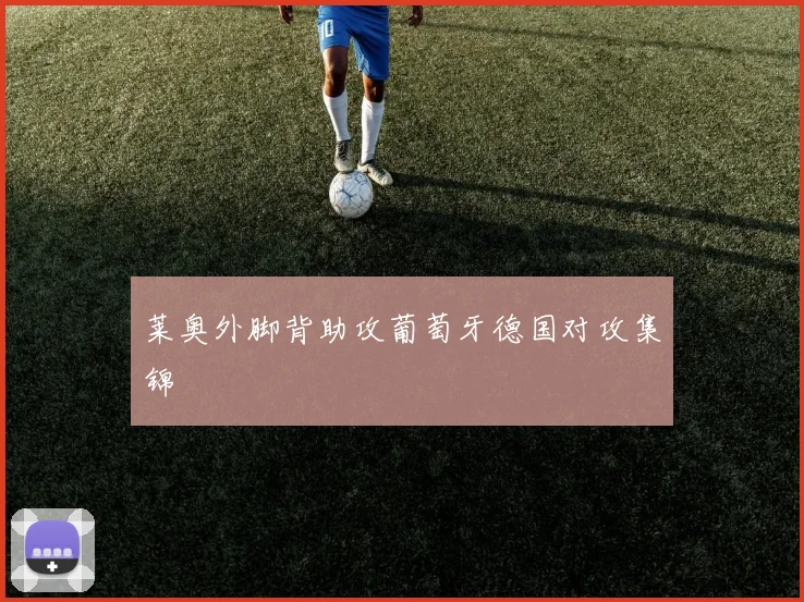 莱奥外脚背助攻葡萄牙德国对攻集锦