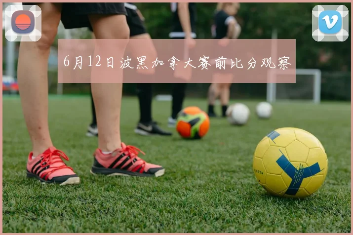 6月12日波黑加拿大赛前比分观察