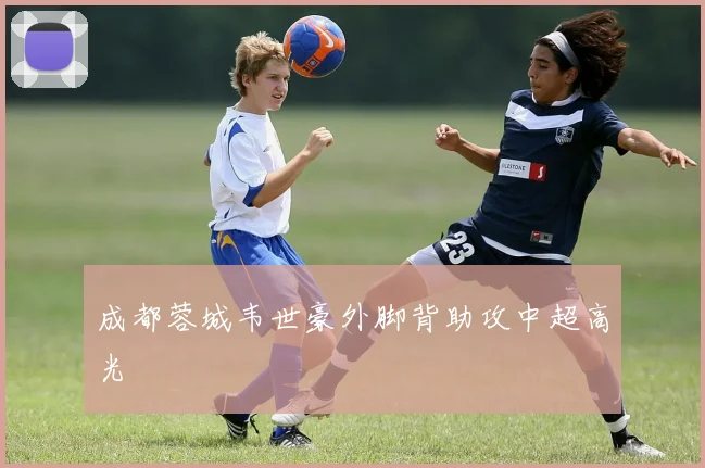 成都蓉城韦世豪外脚背助攻中超高光