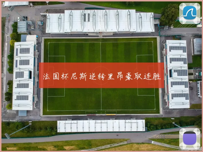 法国杯尼斯逆转里昂豪取连胜