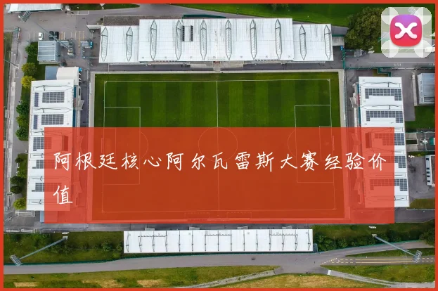阿根廷核心阿尔瓦雷斯大赛经验价值